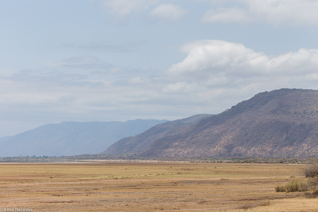 Landscape in Lake Manyara