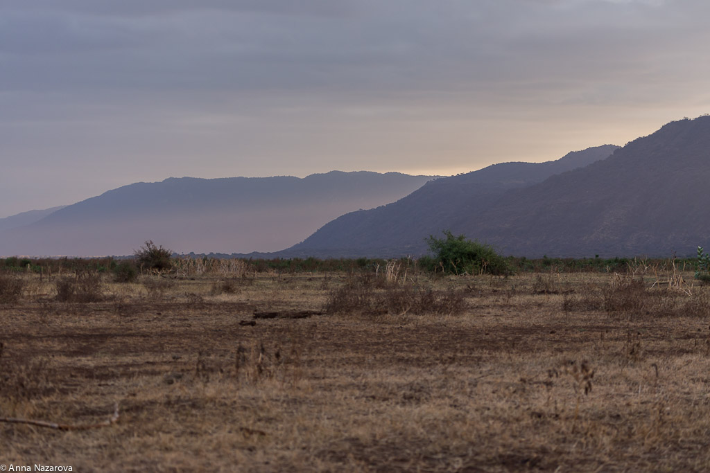 Sunset in Lake Manyara